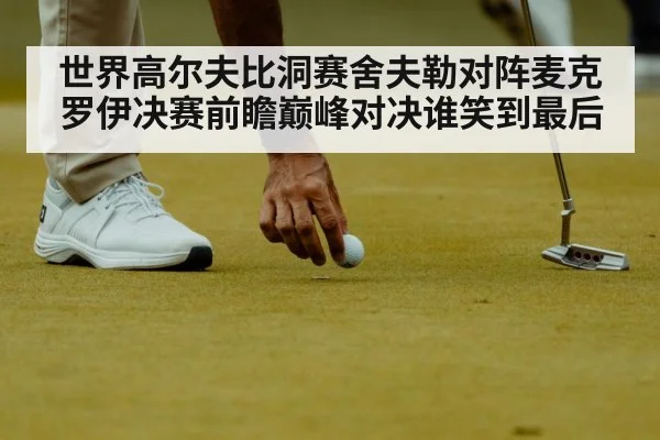 世界高尔夫比洞赛舍夫勒对阵麦克罗伊决赛前瞻巅峰对决谁笑到最后 - NG28
